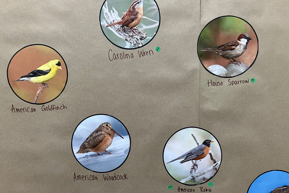 Student illustration of a car