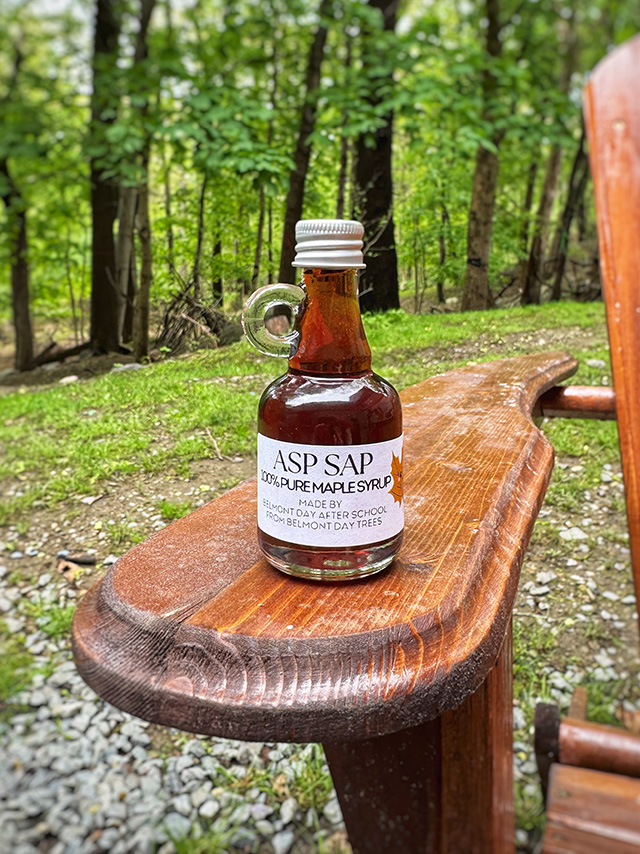 B is for Belonging at Belmont Day logo art